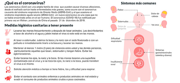 Apuntes sobre el coronavirus que debemos conocer coronavirus graphic fpt4