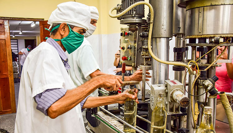 Fábrica de Guayabita del Pinar reabre sus puertas Fábrica de Guayabita del Pinar reabre sus puertas
