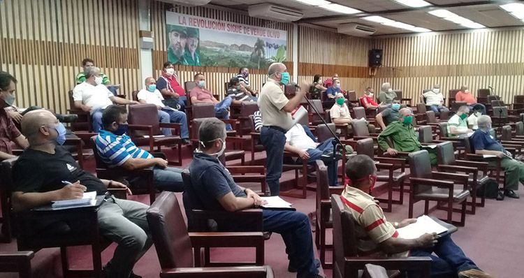 Verano por la vida en Pinar del Río Consejo de Defensa Provincial Pinar del Rio 3