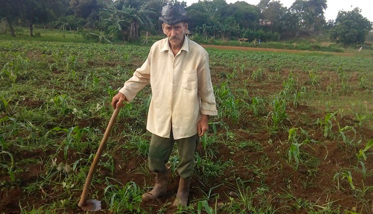 Trabajar la tierra con amor hombre campesino
