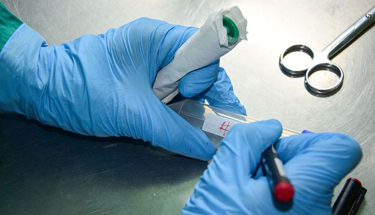 Laboratorio de microbiología en Pinar del Río: motivos para merecer el aplauso Laboratorio de microbiología en Pinar del Río: motivos para merecer el aplauso