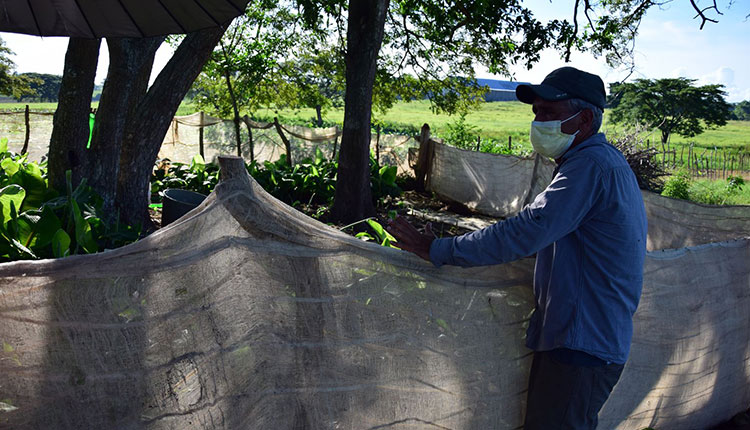 Labrar la tierra, una obra sustentada en el amor Labrar la tierra, una obra sustentada en el amor