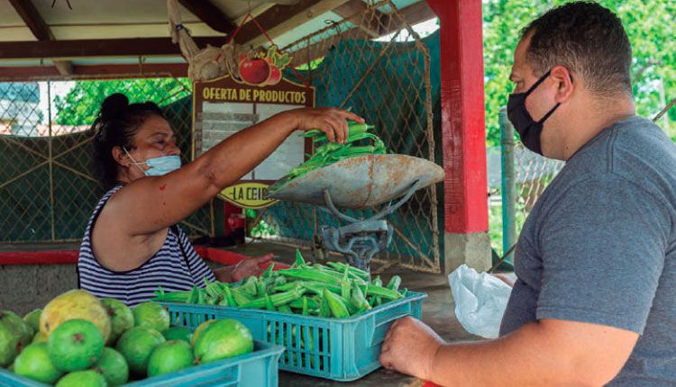De enseñar a producir, la apuesta de una vida La calidad y frescura de sus producciones, unidas a los precios módicos de lo que venden, ubican a su punto de venta en la preferencia de consumidores de la comunidad y viajeros