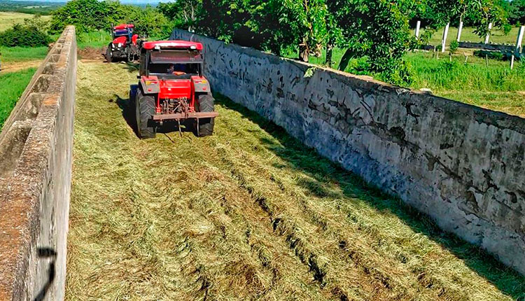 La experiencia les permitirá contar con reservas de alimento animal para el periodo de seca. En el proceso de producción que superará las 3800 toneladas se utiliza la vinaza, (subproducto en el destilado de alcoholes) lo que reduce el costo y eleva la calidad del forraje ensilado.