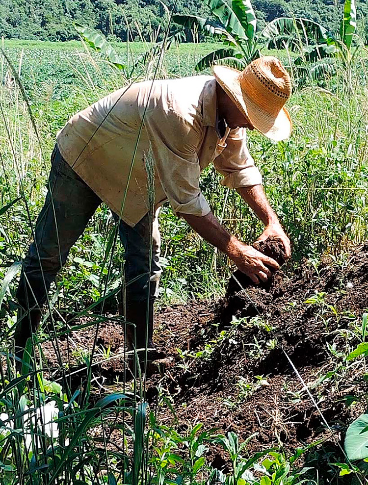Viñales con tradición, modernidad y ciencia en la producción de alimentos vinnales2