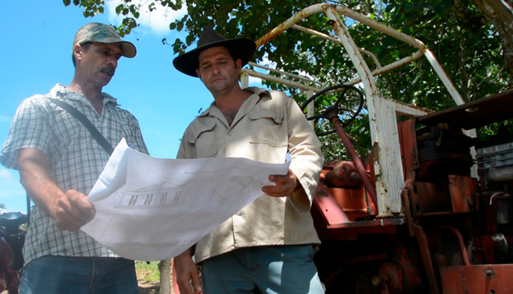 Viñales con tradición, modernidad y ciencia en la producción de alimentos Evaristo (a la izquierda) y Gilberto, analizan detalles en el plano de las casas de cultivo / Foto: Miguel Ángel Díaz Catalá