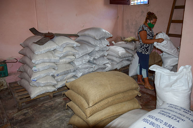 Pinar del Río se prepara para el paso de Laura almacen bodega