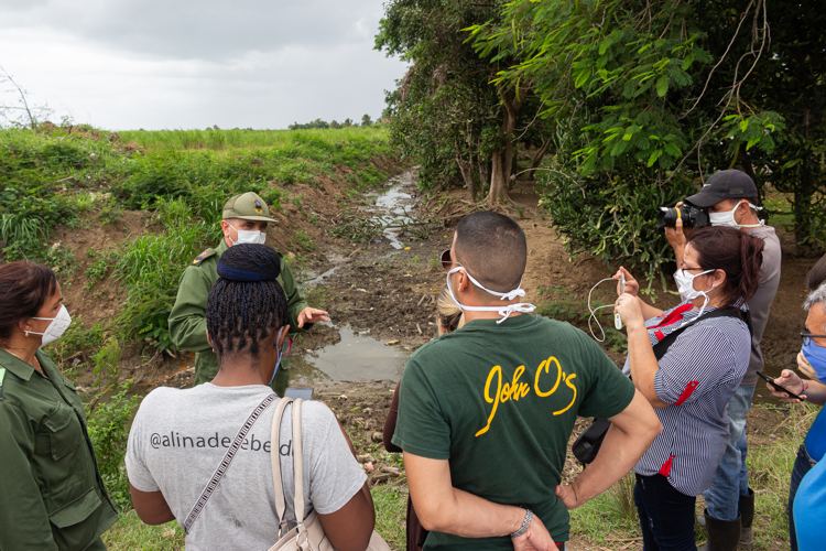 Pinar del Río protegida ante Laura aseguramientos pinar del rio tormenta laura ftp 2