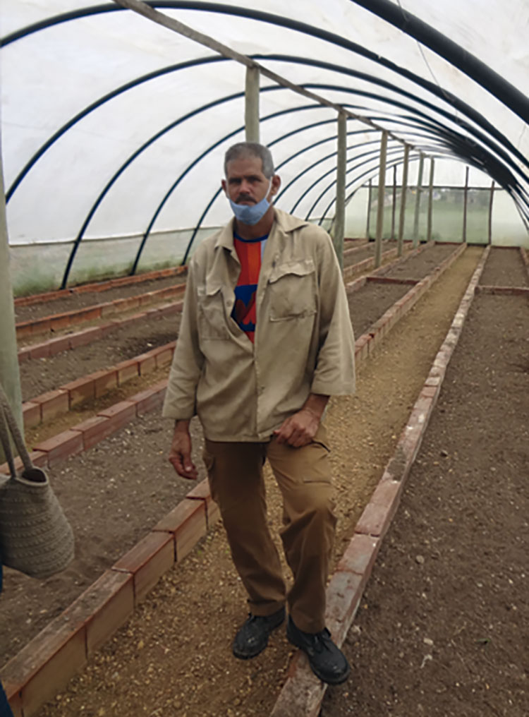 Casas de cultivos, alternativa con garantías en Pinar del Río Pedro Luis Rivera Rojas