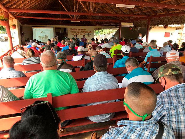 Recorren áreas de resiembras en el municipio de Consolación del Sur reunion consolacion del sur huracan eta