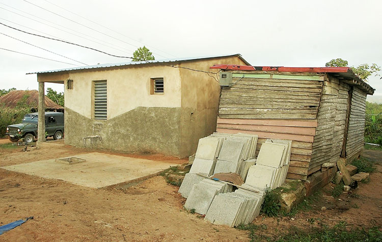 Madelín, el hada de Domitila Desde este 25 de diciembre Domitila y Lilo tendrán casa nueva, para ellos el 2020 no fue un mal año.