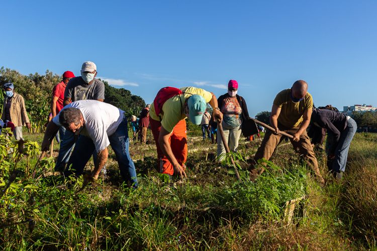 Los derechos que nos unen cubanos con derechos humanos 2