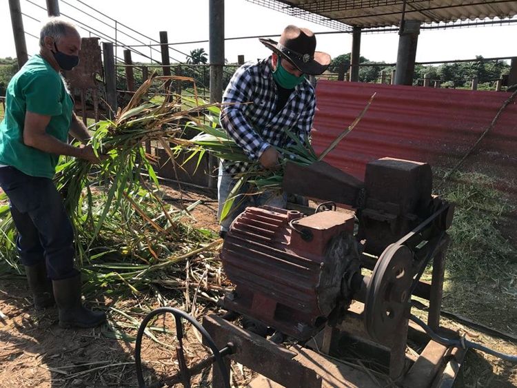 La grandeza de “La Lorena” finca la lorena pinar del rio 1