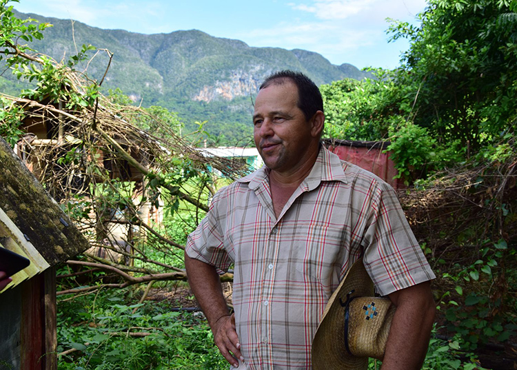 “El sudor del hombre hay que pasarlo por arriba de la planta” “Yo soy guajiro, de Pinar del Río y con toda la malanga que siembro prefiero comer yuca y carne de puerco del que se cría en mi patio, el otro que se engorda con pienso no sabe igual”, nos dice entre risas. / Foto: Januar Valdés Barrios