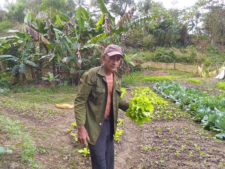 Cuando la tierra depende del hombre Para Luis García no hay tierra mala, todo depende de la labor de quien la cultiva.