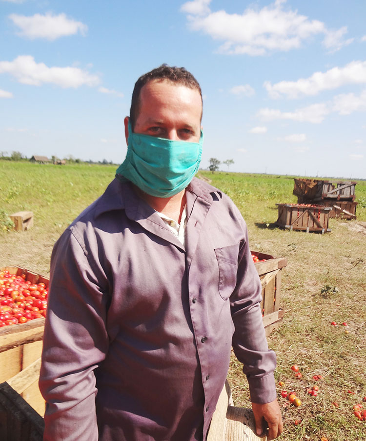En Pinar del Río hay sangre joven que apuesta por la tierra Isael no se arrepiente de haber dejado el magisterio, y aunque el trabajo es duro el campo es lo que le gusta.