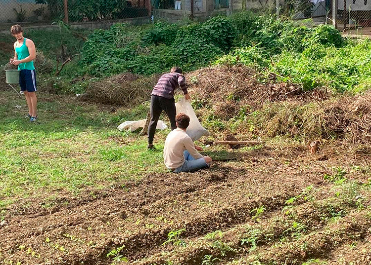 Cuando el amor por la vida se multiplica en el amor por la tierra Con el apoyo de familiares y amigos limpió el terreno que se encuentra en la parte trasera de su casa. En lo que antes fue un terreno en desuso, hoy germina la vida.