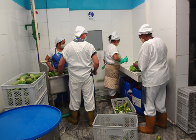 Fábrica La Conchita con variadas producciones en Pinar del Río Fábrica La Conchita con variadas producciones en Pinar del Río