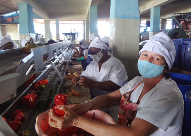 Fábrica La Conchita con variadas producciones en Pinar del Río Fábrica La Conchita con variadas producciones en Pinar del Río