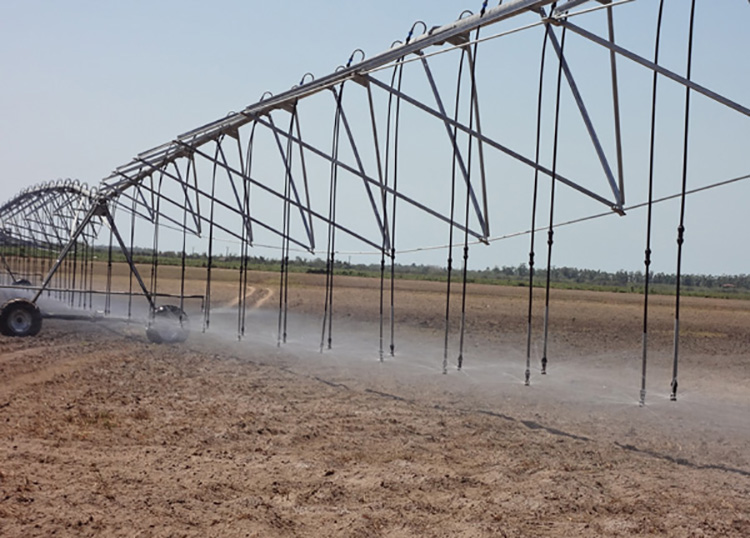 Polo productivo Hermanos Barcón en Pinar del Río avanza en la cosecha de cultivos varios Polo productivo Hermanos Barcón en Pinar del Río avanza en la cosecha de cultivos varios