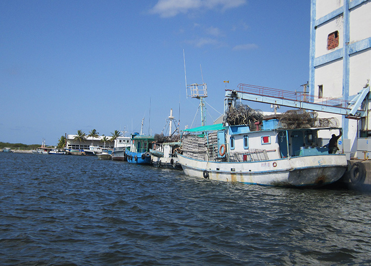 Vida a las costas en Pinar del Río Combinado pesquero