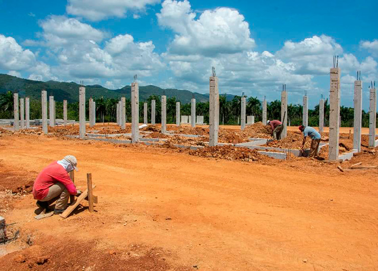 Construyen en Pinar del Río planta de polvo de moringa Construyen en Pinar del Río planta de polvo de moringa