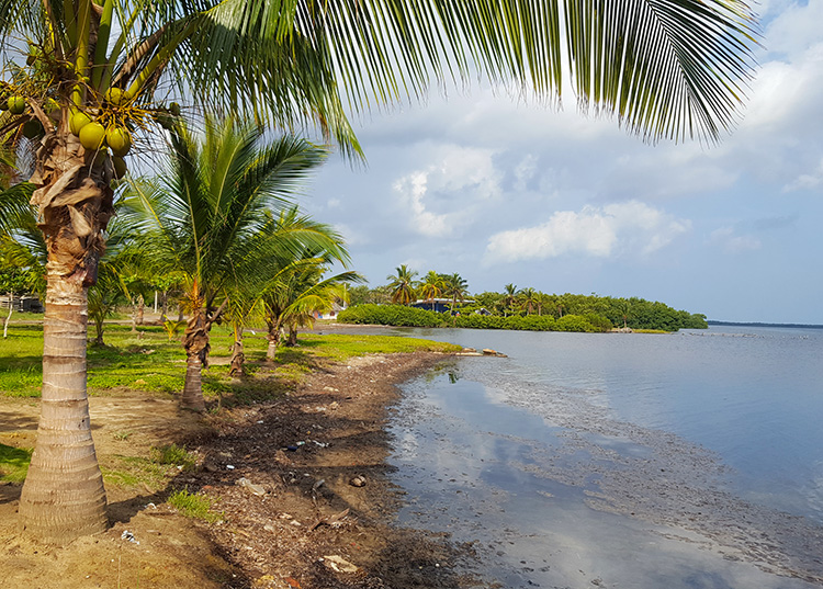 La belleza natural de Puerto Esperanza en Pinar del Río La belleza natural de Puerto Esperanza en Pinar del Río