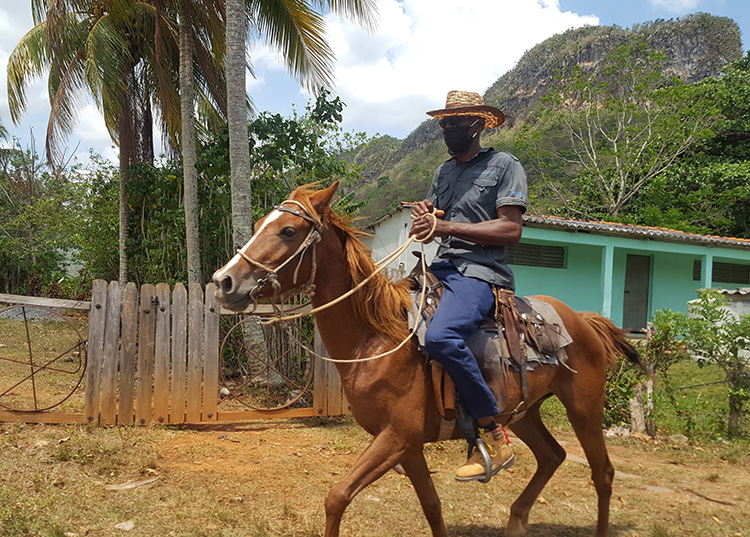 Viñales: tiempos de pandemia Viñales: tiempos de pandemia
