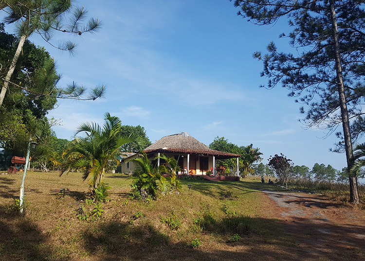 Viñales: tiempos de pandemia Viñales: tiempos de pandemia