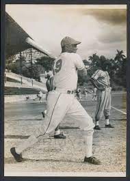 El Canguro Amaro Ya veterano