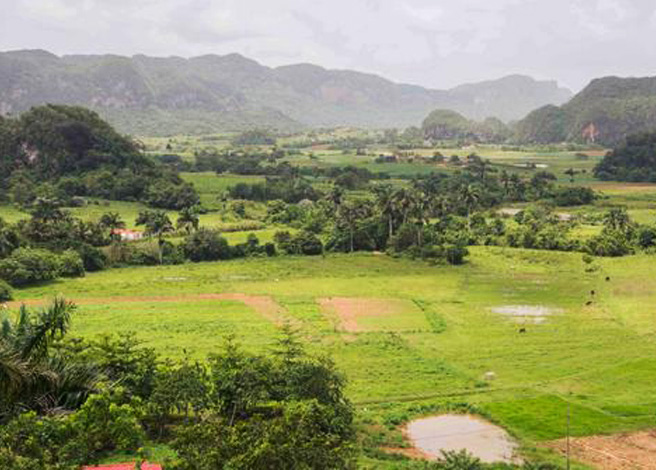 Pinar del Río tendrá la primera guía geológica sobre Viñales Elaboran guía geológica sobre Viñales, el primer Geoparque Nacional