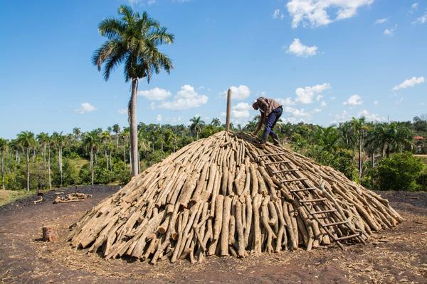 Incrementan en Pinar del Río exportación de carbón vegetal Preparación de un horno para la elaboración de carbón vegetal, en La Palma, Pinar del Río, Cuba, el 3 de abril de 2018.