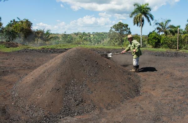 Incrementan en Pinar del Río exportación de carbón vegetal Carbonero en la preparación de un horno de carbón vegetal, en La Palma, Pinar del Río, Cuba, el 3 de abril de 2018.
