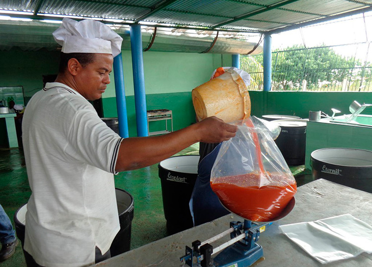 Cubaquivir sede de la celebración por el 26 en Pinar del Río Con la pequeña mini-industria se obtienen jugos, dulces y pulpa de diversas frutas