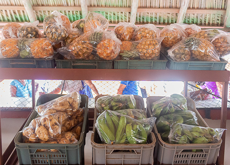 Impulsan nueva modalidad de mercados agropecuarios en Pinar del Río Algunos de los productos ofertados por los mercados
