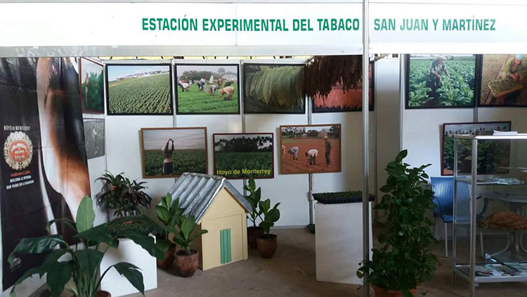 Provincia Pinar del Río: San Juan y su historia Estación Experimental del Tabaco en San Juan y Martínez