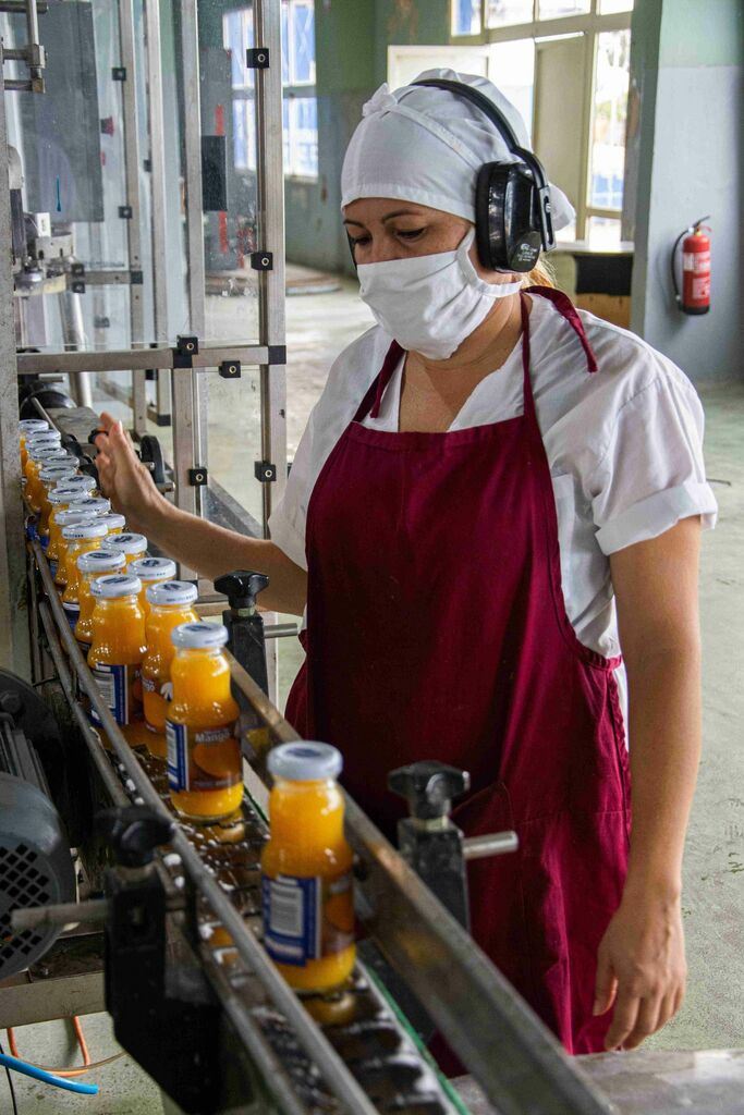 Recupera producciones La Conchita en Pinar del Río Con la remodelación de la línea de néctar lograron producir tres toneladas diarias.