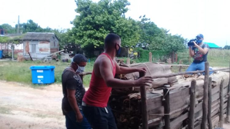 trabajadores de la UEB de Las Ovas 4