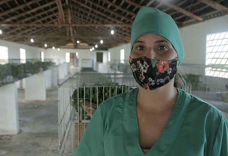 Mujeres rurales en Pinar del Río, sin perder la ternura Mabel Acosta Cruz, trabajadora del módulo pecuario del polo productivo Hermanos Barcón.