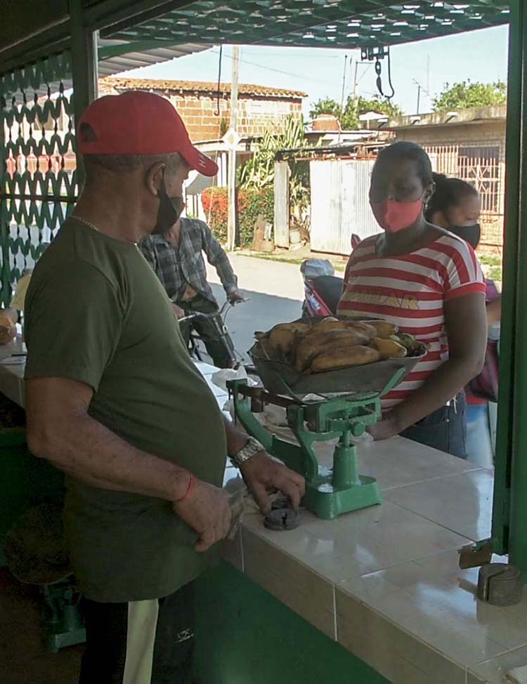 Nuevos caminos para la comercialización agropecuaria en Pinar del Río Los habitantes de la capital pinareña forman parte de los beneficiados por la flexibilización de la comercialización.