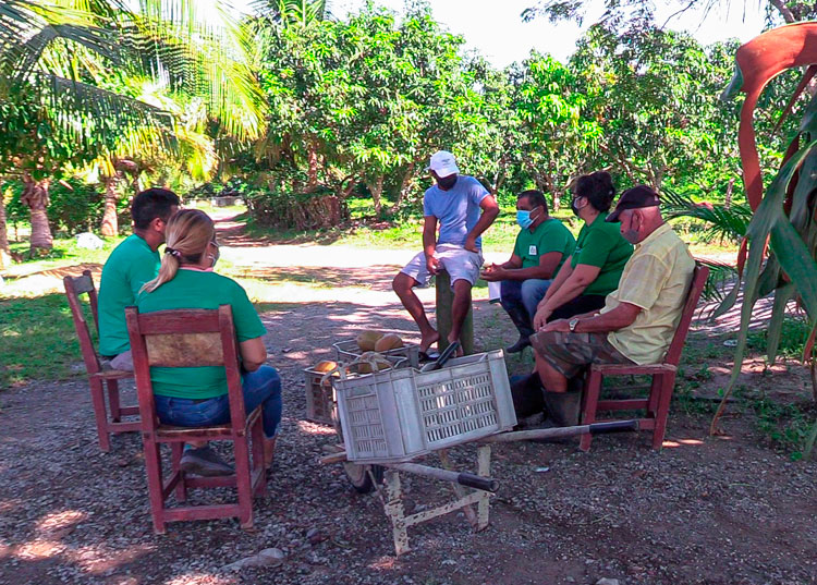 Marioba: la excelencia de un proyecto hecho néctar Trabajadores de la finca La María.