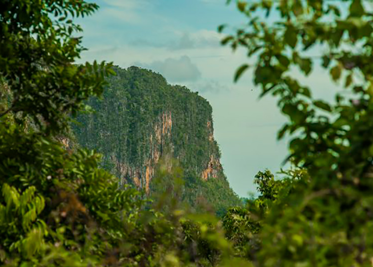 Geoparque Viñales, una experiencia natural más profunda y otra puerta al desarrollo local Viñales cuenta con valores desde el punto de vista cultural, paisajístico, de la biodiversidad y geológico. / Foto: Deny Extremera/ Cubadebate.