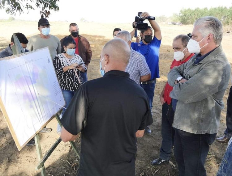El Presidente cubano Miguel Díaz-Canel Bermúdez conoció sobre las acciones que se realizan desde el pasado mes de octubre para recuperar áreas que permitan incrementar la producción de alimentos para la población.