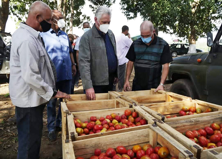 Encabeza Díaz Canel visita gubernamental a Pinar del Río Encabeza Díaz Canel visita gubernamental a Pinar del Río