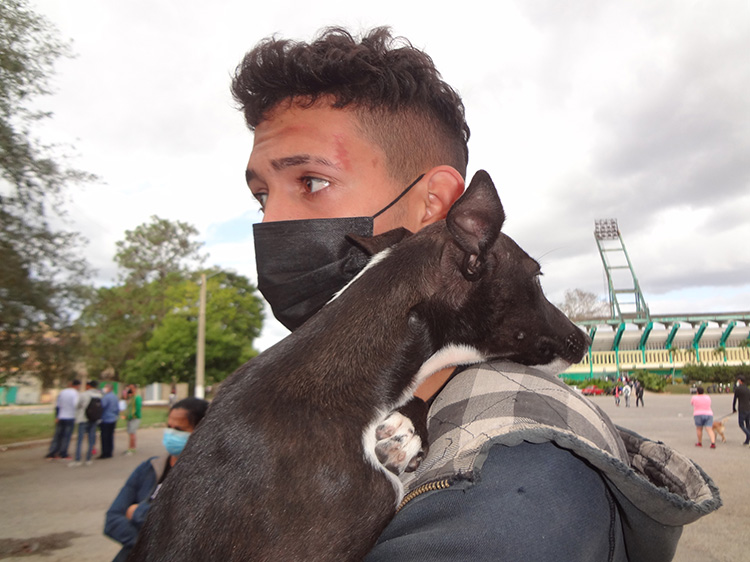 Una feria por el bienestar animal en Pinar del Río Una feria por el bienestar animal