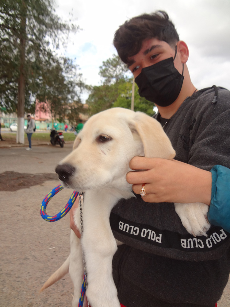 Una feria por el bienestar animal en Pinar del Río Una feria por el bienestar animal