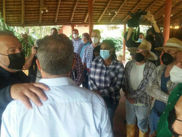 En Viñales Marrero Cruz recorrió áreas de la finca La Esperanza, dedicada a los cultivos varios y sobresale por la producción de variedades de tomate y frijol. 