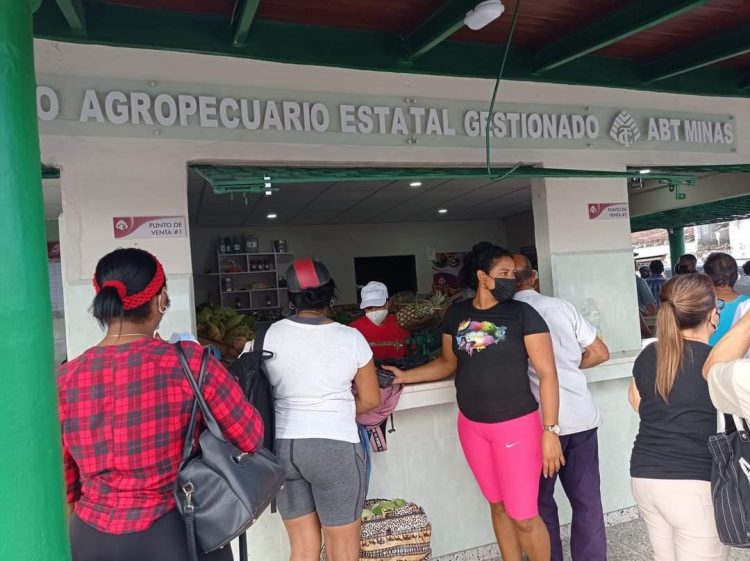 Manuel Marrero Cruz, Primer Ministro de la República de Cuba, visita el mercado agropecuario estatal gestionado por la Empresa de Acopio y Beneficio del Tabaco de Minas, que abrió sus puertas hoy a la población en La Alameda, municipio Pinar del Río.