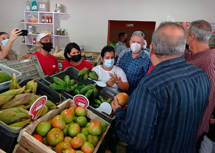 Minuto a minuto: Díaz Canel en visita gubernamental a Pinar del Río Manuel Marrero Cruz, Primer Ministro de la República de Cuba, visita el mercado agropecuario estatal gestionado por la Empresa de Acopio y Beneficio del Tabaco de Minas, que abrió sus puertas hoy a la población en La Alameda, municipio Pinar del Río.
