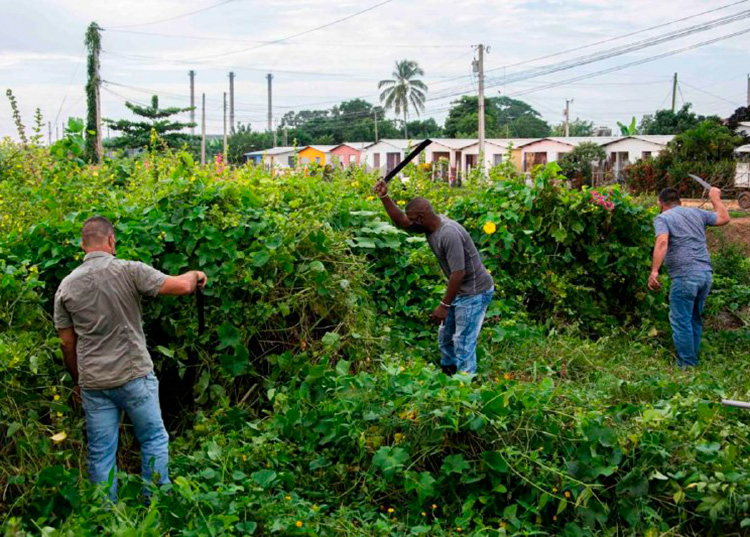 Pinar del Río: transformación de barrios centró agenda pública y gubernamental en 2021 Pinar del Río: transformación de barrios centró agenda pública y gubernamental en 2021